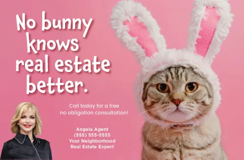 No Bunny Knows - Cat Sample